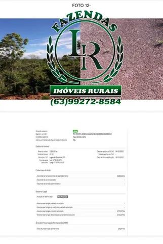 Fazenda 679 Alqueires Dupla Aptidão Estado Tocantins - Foto 3