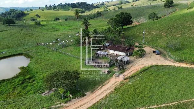 Belíssima fazenda de 52 hectares na melhor localização de Santana do Mundaú-AL - Foto 2