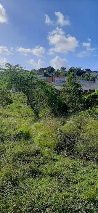 Terreno com área verde em ótima localização
