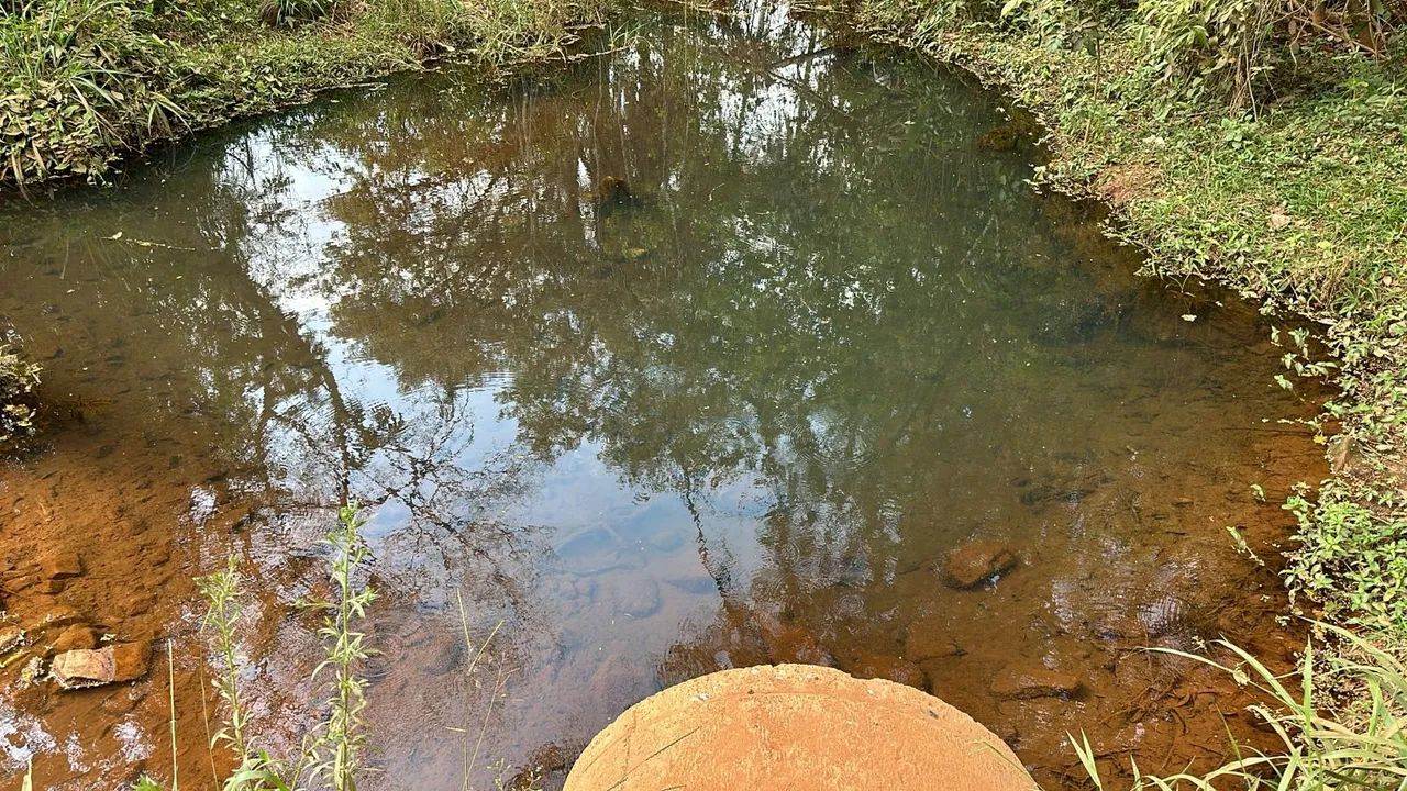 foto - Belo Horizonte - Primeiro de Maio