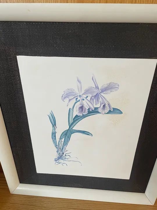 Quadro com Flor de Orquídea - Foto 2