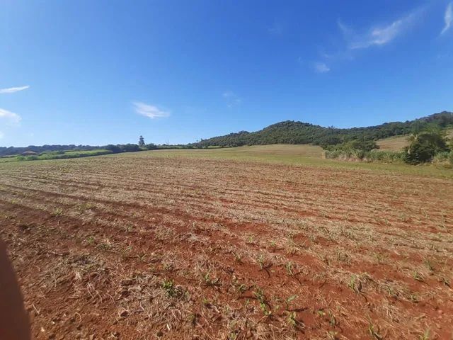 Sitio de 31 alqueiro 28 planta  - Foto 4