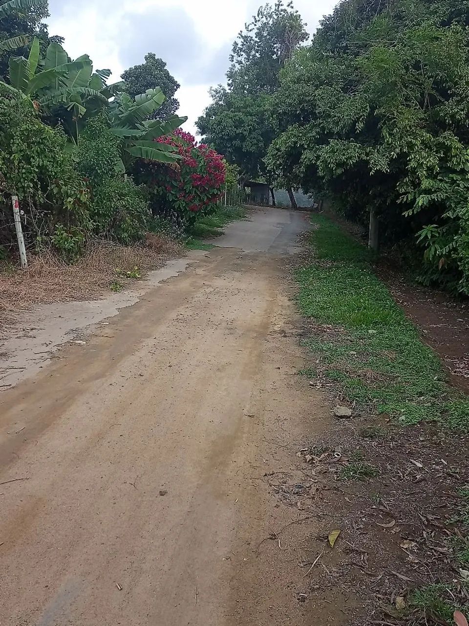 Vendo terreno em Vila Merlo - Foto 3