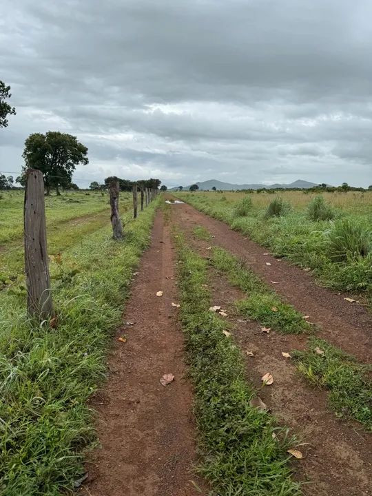 FAZENDA 390 ALQUEIRES ARGILA ACOMA DE 30 PLANTA PERMITIDO  - Foto 2