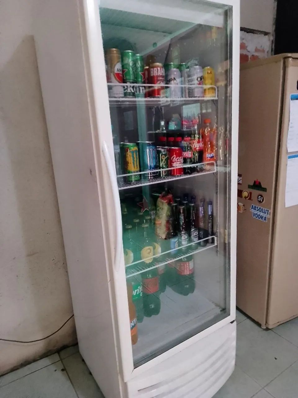 Expositora 64303956691841120