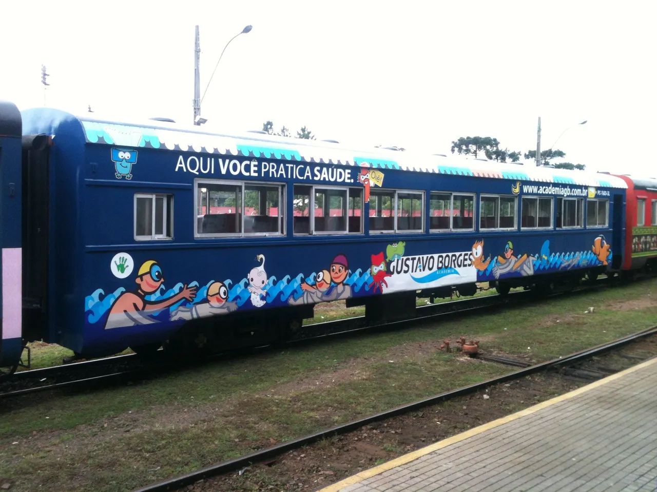 Adesivos e aplicação em geral  - Foto 2