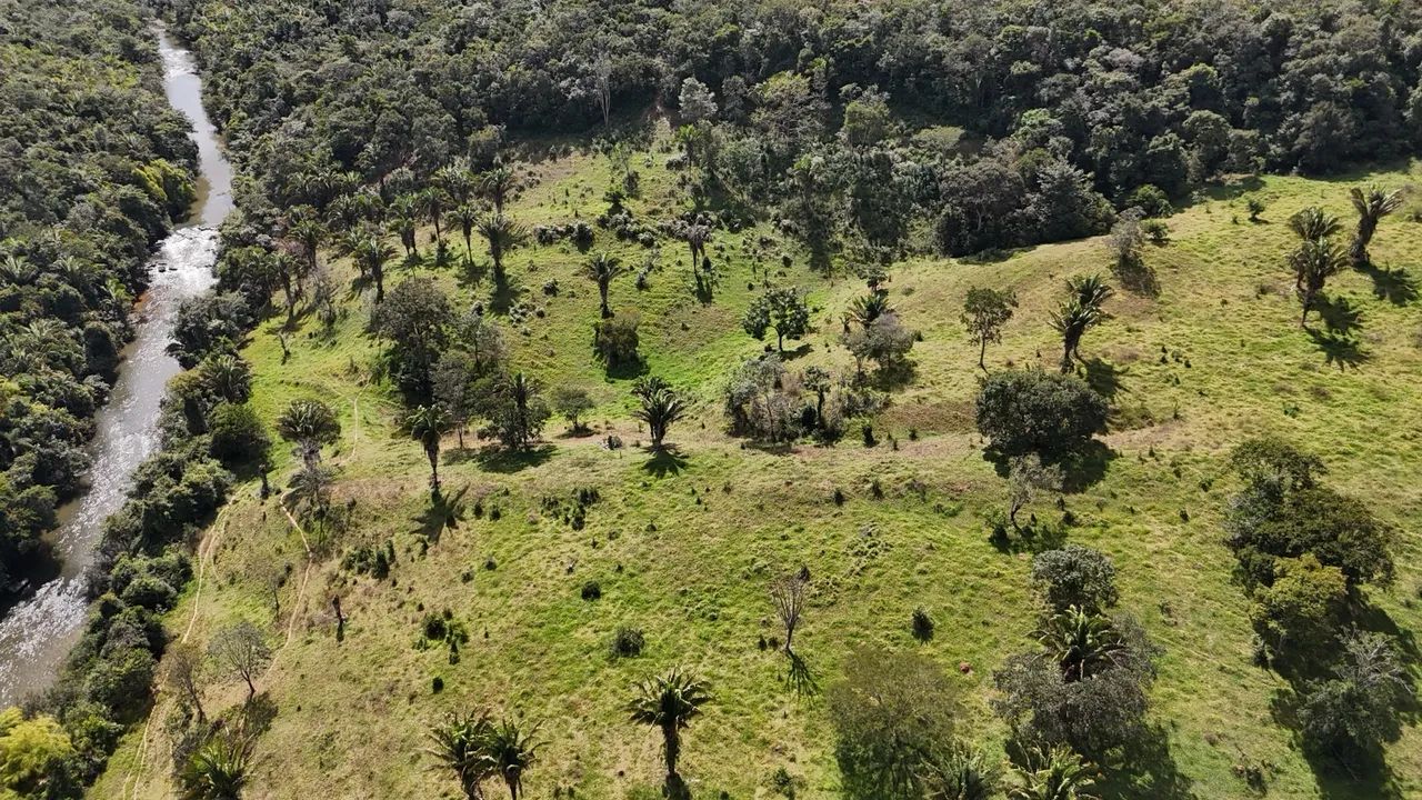 Sítio 10 alqueires 48.5 hectares  - Foto 4