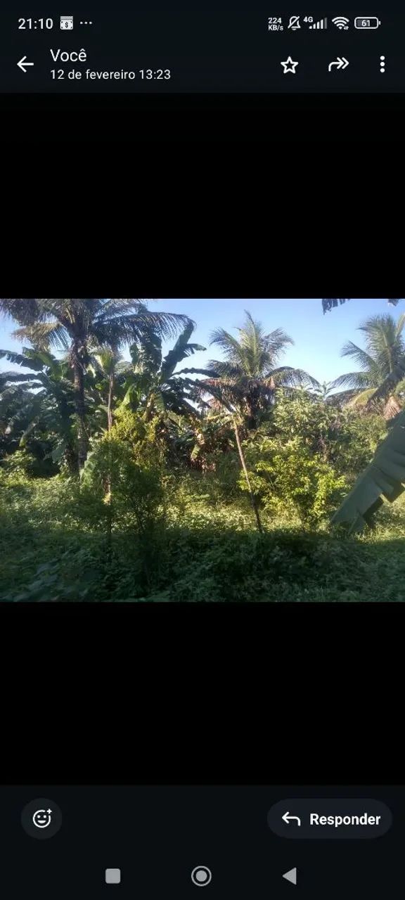 VENDO SÍTIO OU TROCO R$ 350,000 - Foto 3
