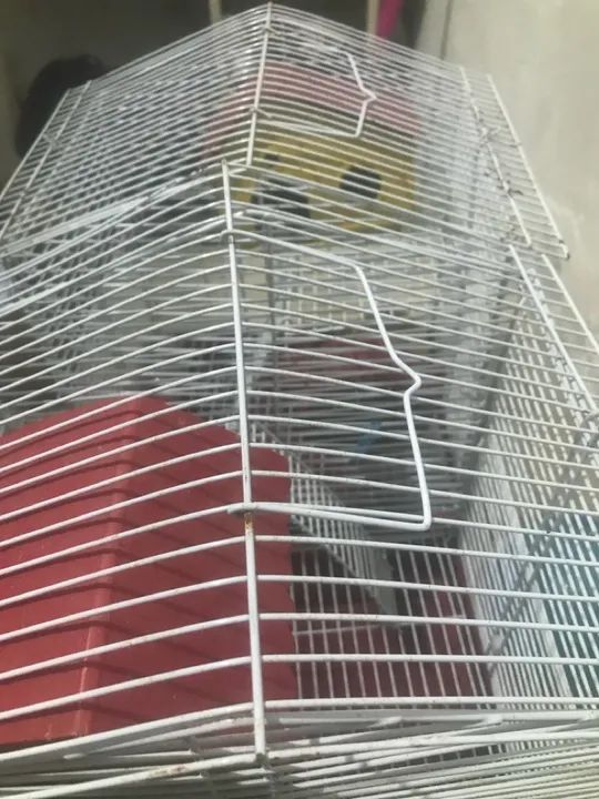 Gaiola para Roedores - Foto 3