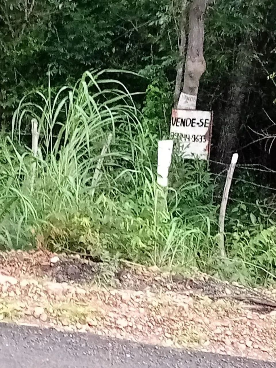Vendo terreno a 100 metros do Rodoanel da Usina Santana/ Dirceu  - Foto 2