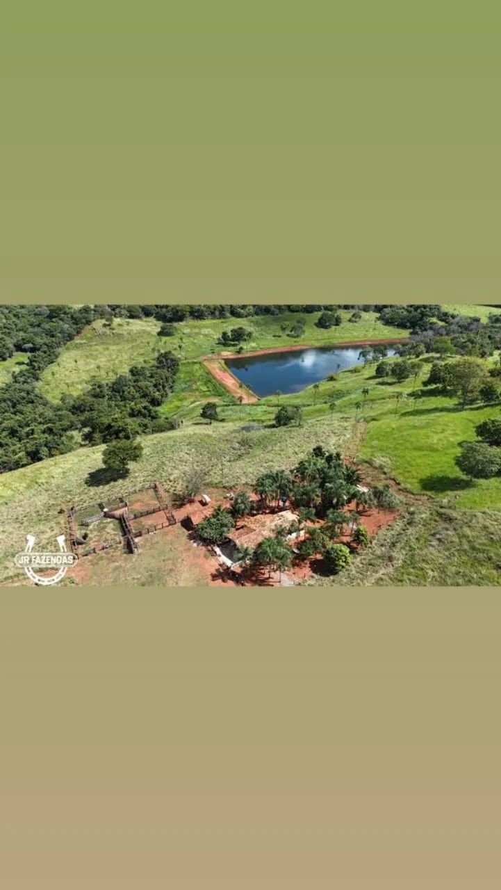 Ótima Fazenda disponível (pecuária)