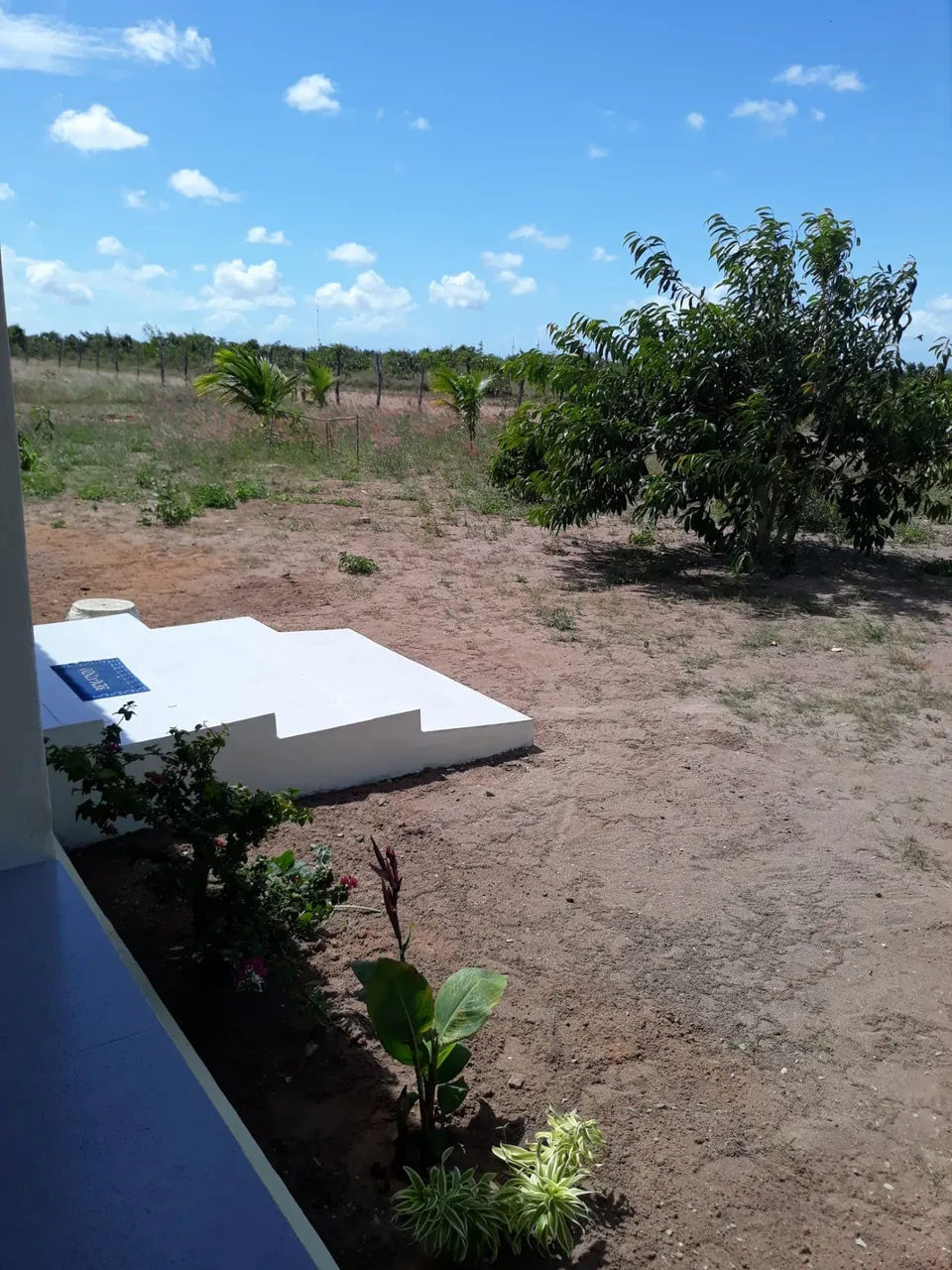 Excelente Granja com 3 hectares na região de Ceará Mirim