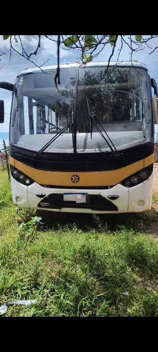 Ônibus Escolar 2011