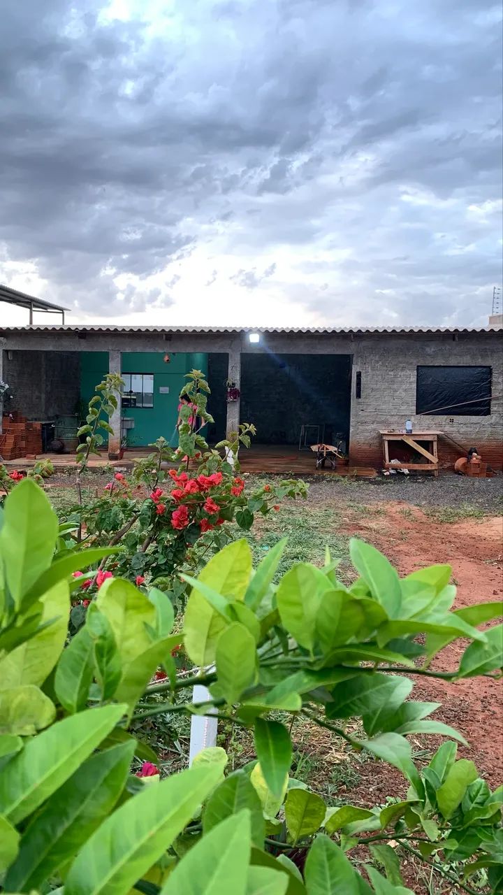 Foto - Maringá - Jardim da Glória