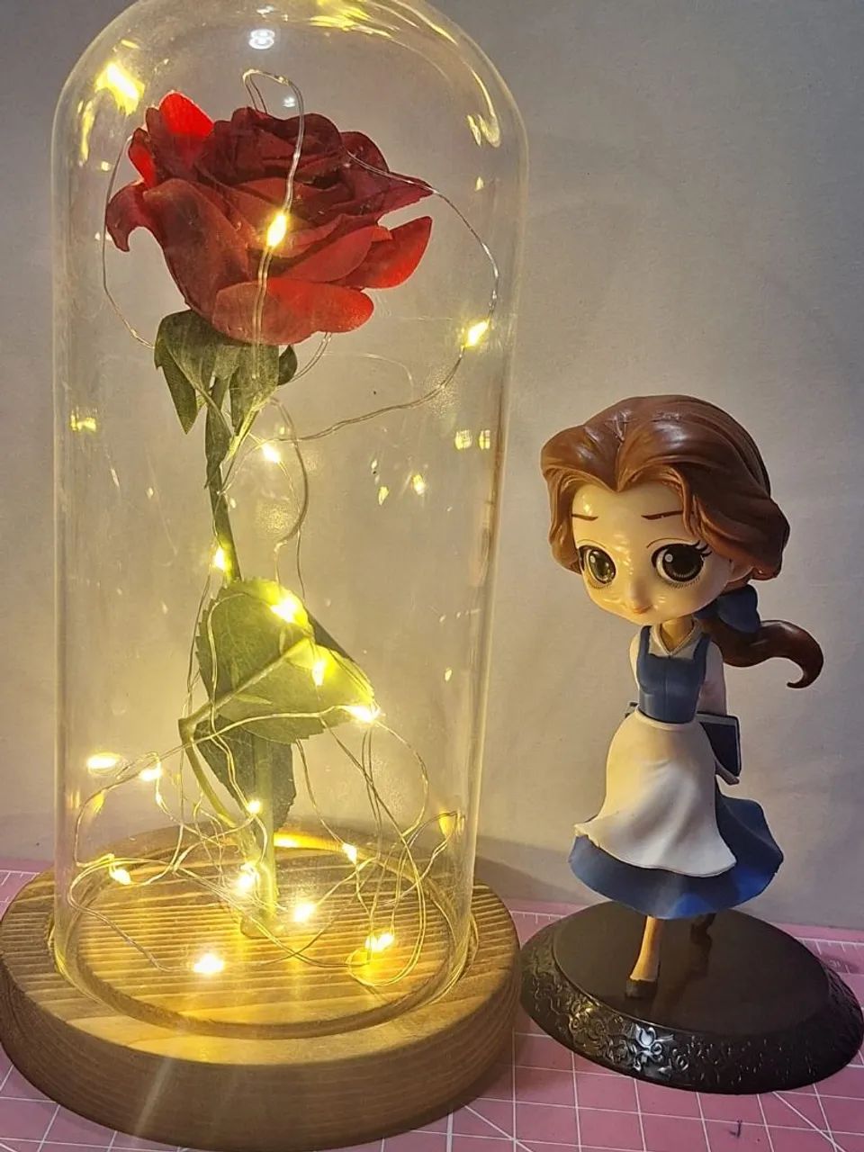 Bela e Rosa Encantada 