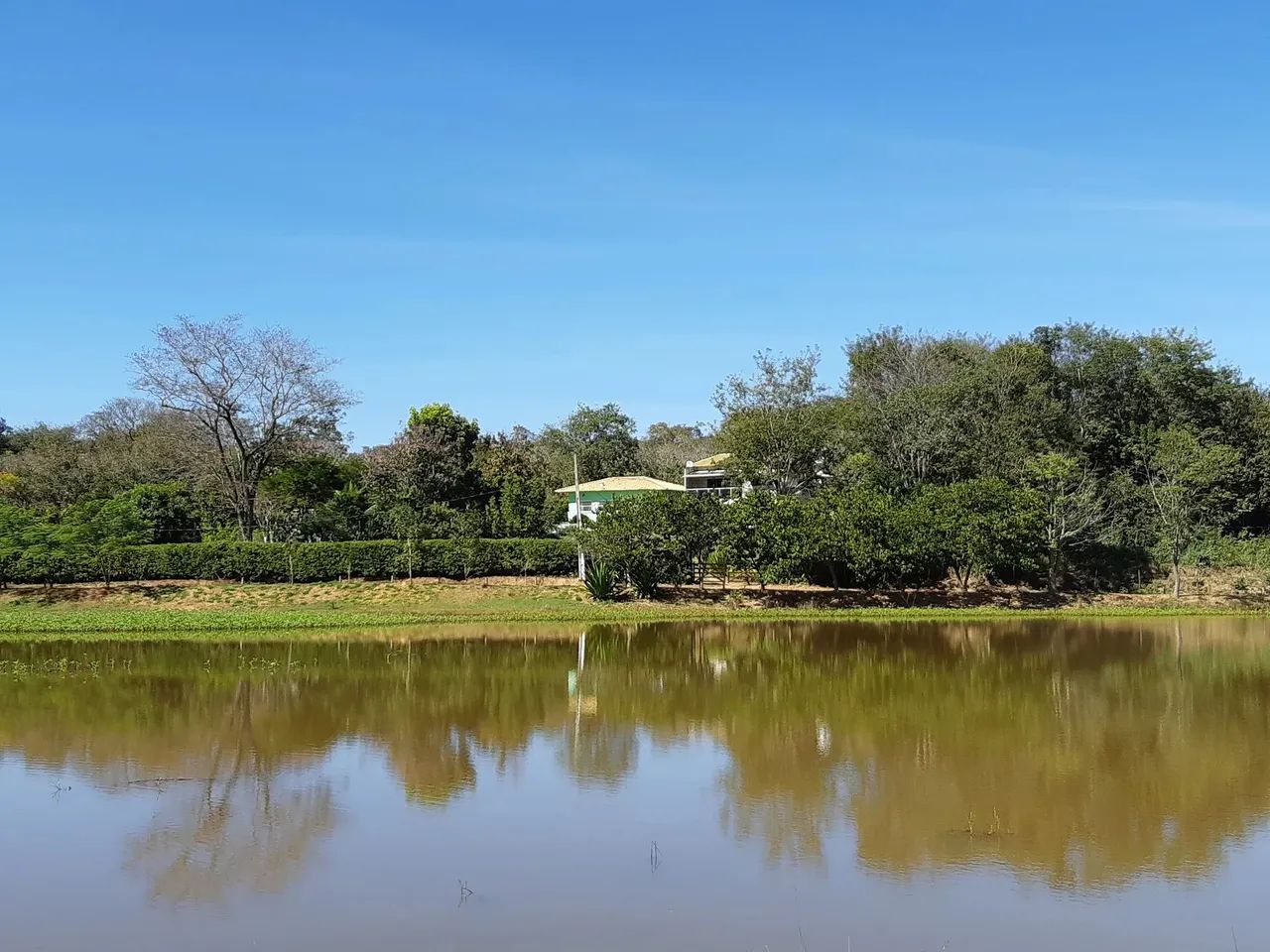 Terrenos 5.000m2 Prontos p Construir Financio c 36 Primeiras Parcelas Fixas - Foto 5