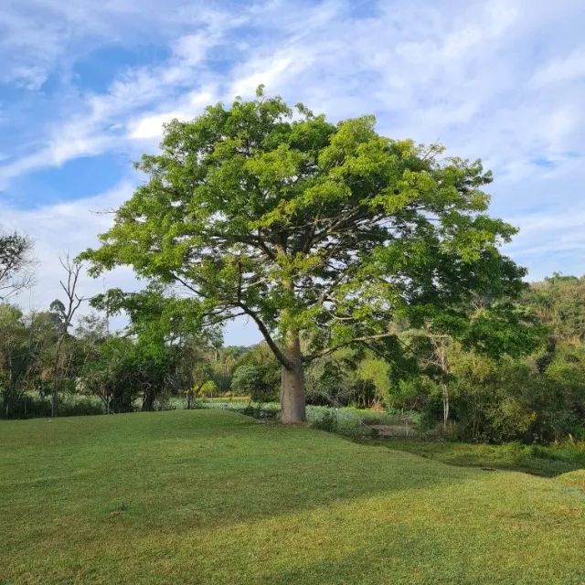 Chácara em Ibiúna Ideal para Sua Família - Foto 14