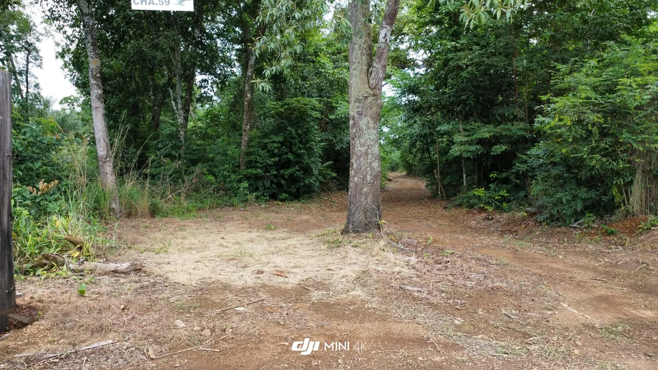 Oportunidade terreno 4,5 alqueires Serra do Lageado a 50 km de Palmas