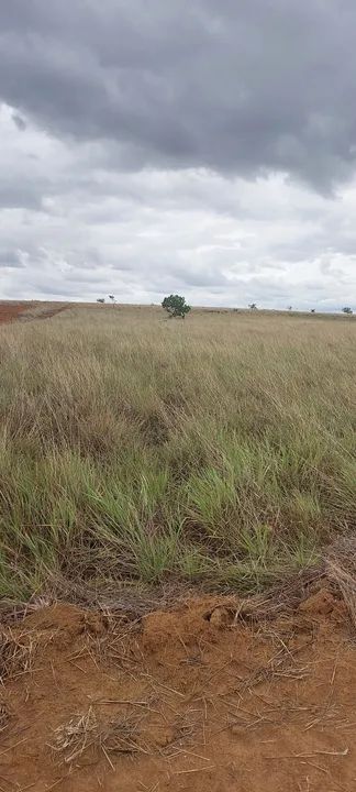 Terreno com área verde em ótima localização - Foto 2