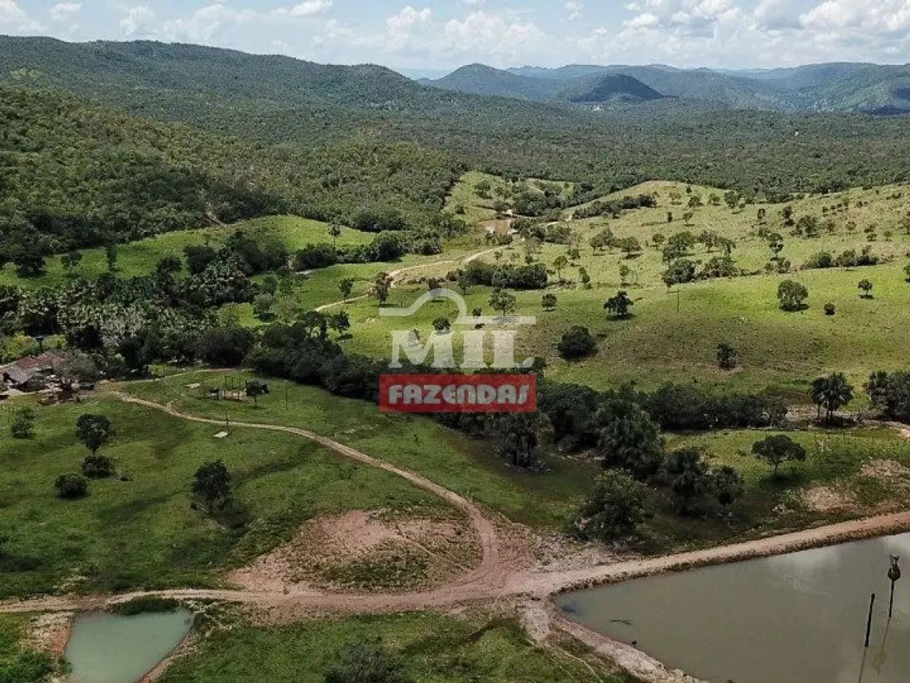 Fazenda  100 alqueires (484 hectares) Montividiu  Do Norte- GO