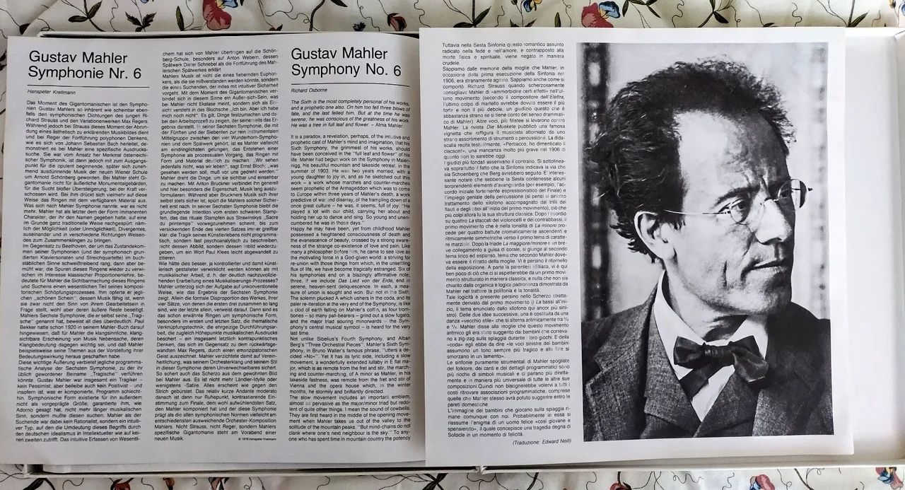 Box 2 Vinil G. Mahler Rg. Karajan Sinfonia6  - Foto 5