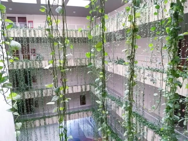 Cabo Frio - Praia do Forte - Foto 4