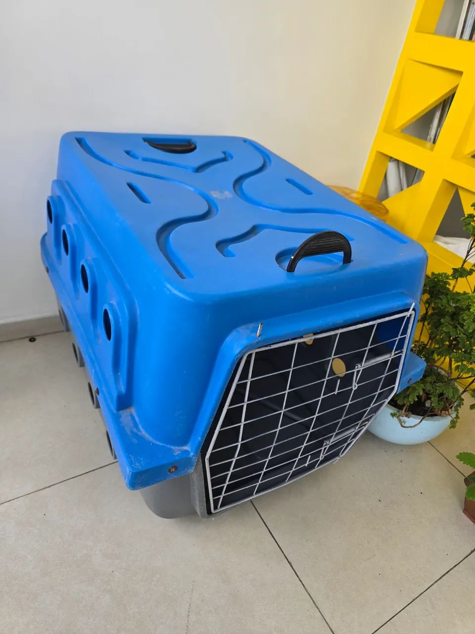 Caixa de transporte cachorro