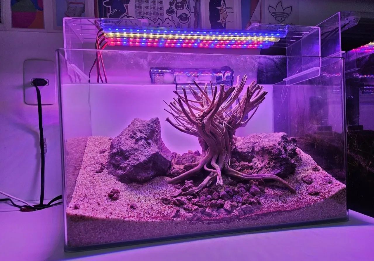 AQUÁRIOS OCEAN TECH - Outros animais - Farol, Maceió 1459990377 | OLX