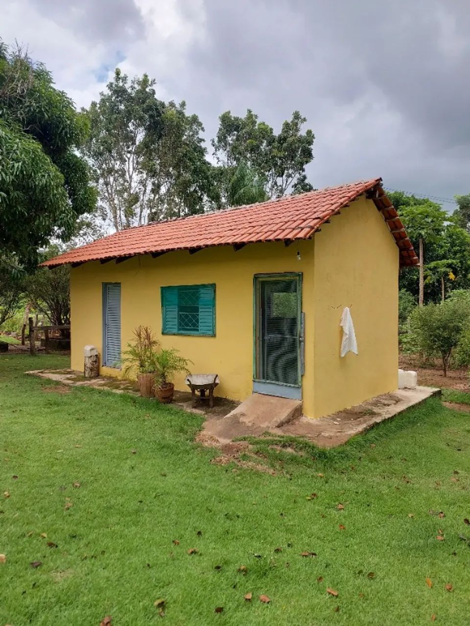 Vende-se Fazenda 35 Alqueires em Barrolândia To - Foto 4