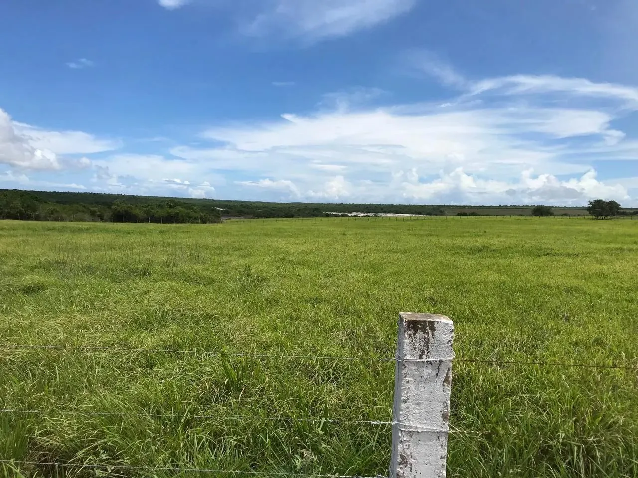 fazenda com 72 hectares na região de Ceará Mirim-RN bem estruturada e localização privileg