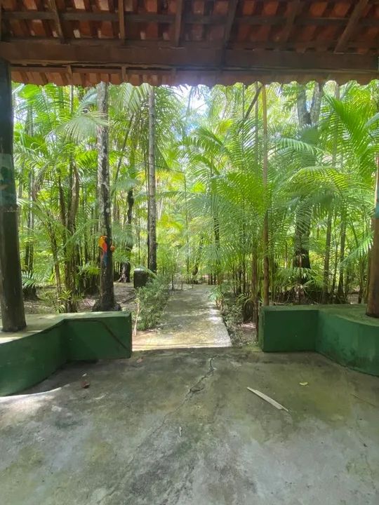 SITIO, CHACARA, POUSADA - Foto 3