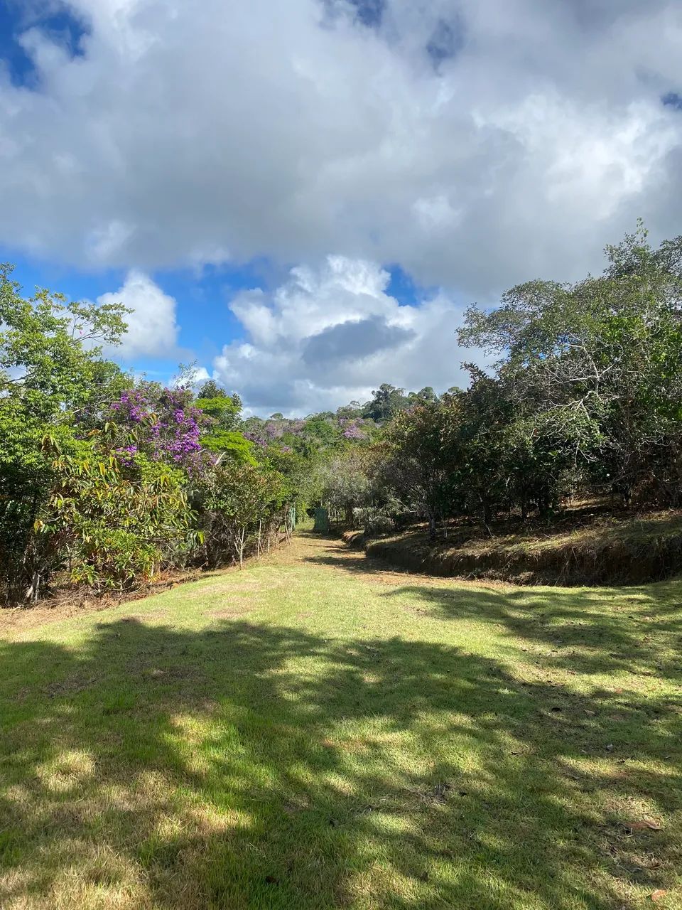 Fazenda Alto da Serra
