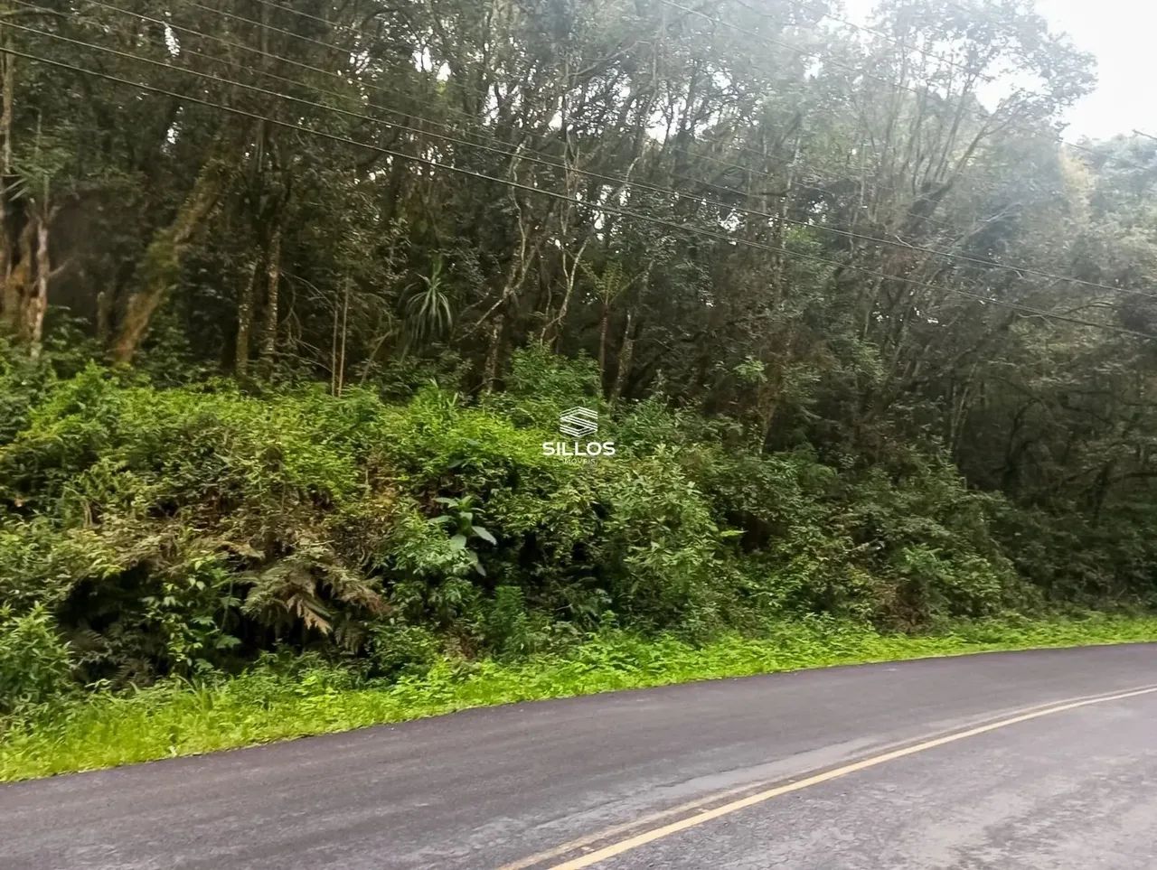 Terreno com 66.589 m² de área total à venda no bairro Ferraria em Campo Largo/PR - Foto 11