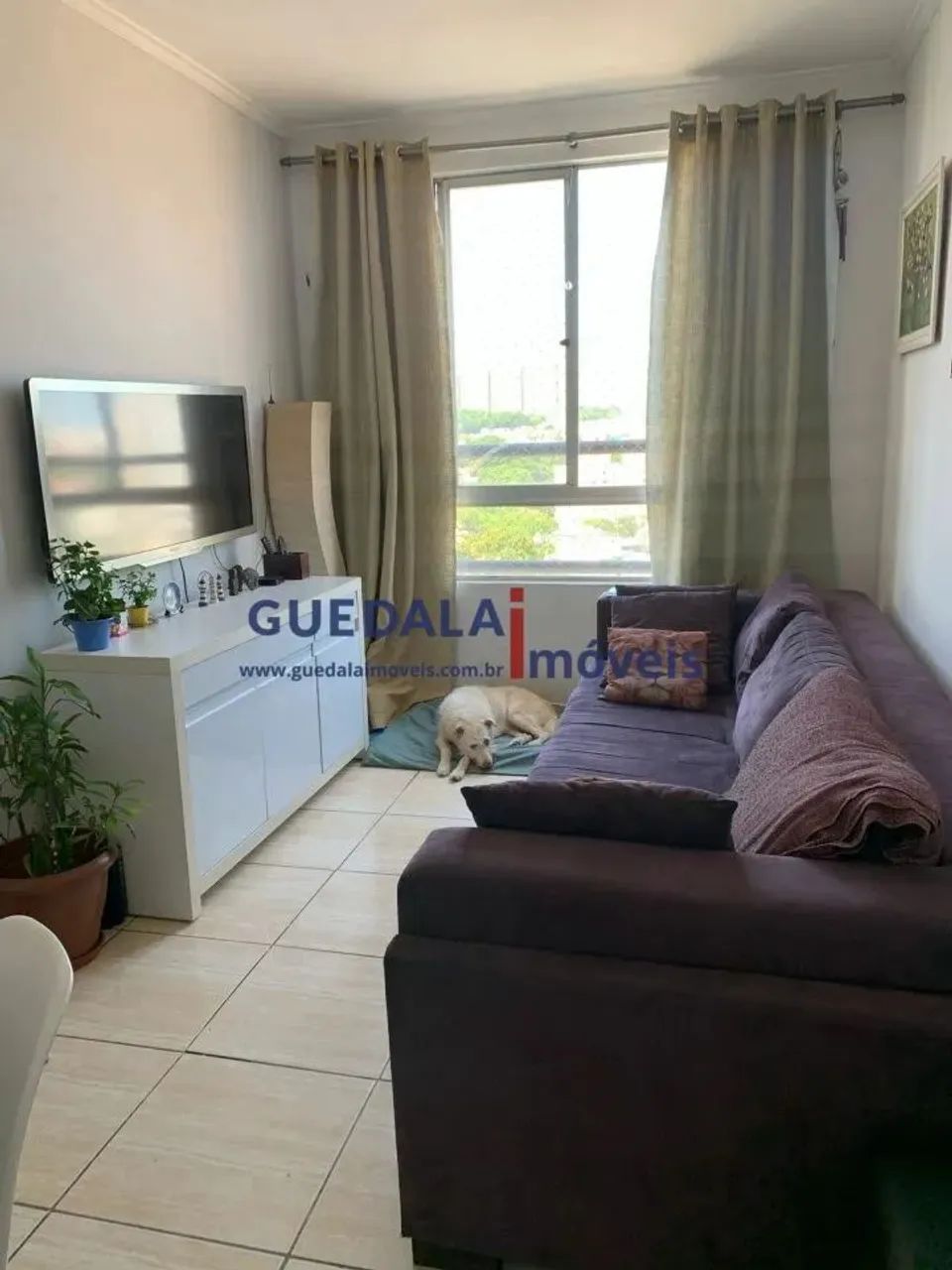 Butantã - Bonfiglioli - Foto 2
