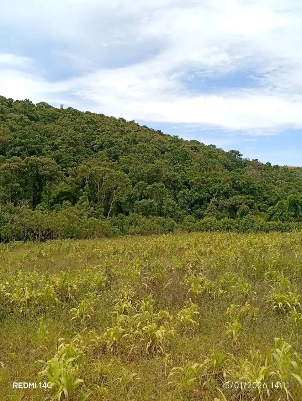 Lotes de 500 a 1.000 m² à venda em Ibiúna-SP - Foto 3