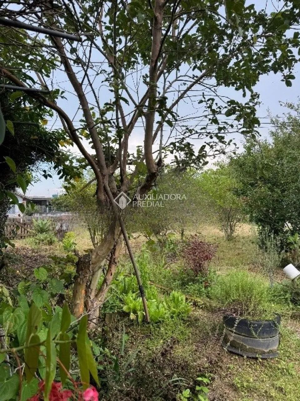Terreno à venda na Passagem do Maciambu, Palhoça SC - Foto 3