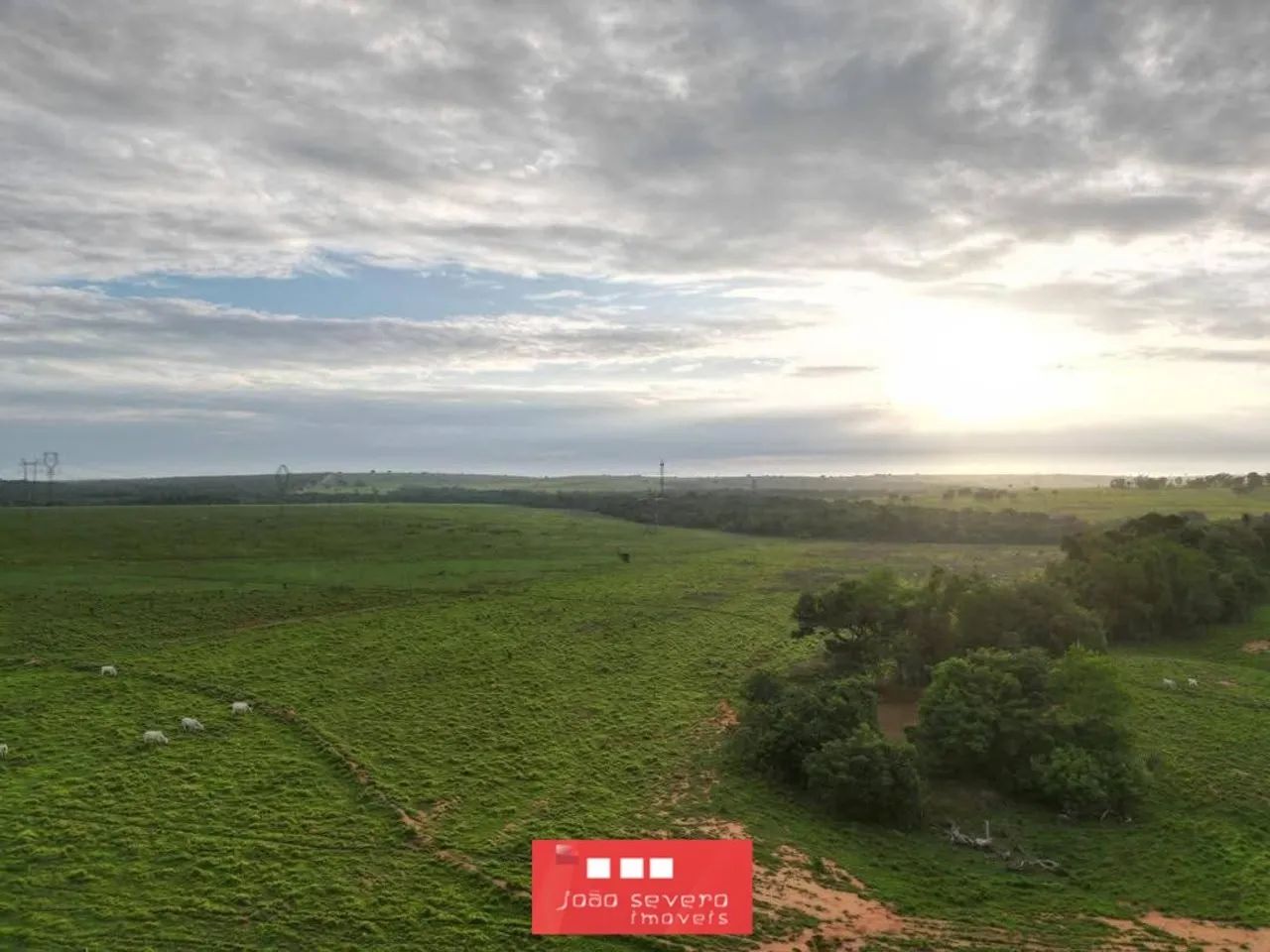 Fazenda para Venda em Guaraí