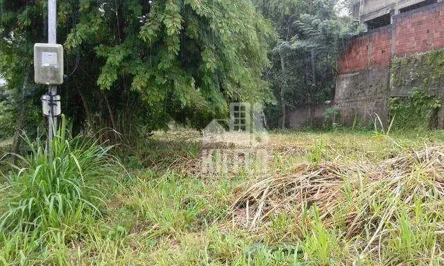 TERRENO À VENDA EM MARIA PAULA - Foto 3