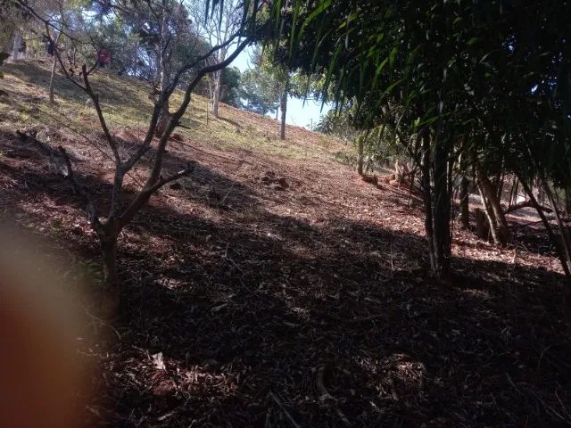 chácara 3000 m2 - Foto 5