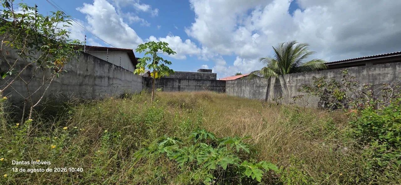 LOTE NO BAIRRO GOIABAL  - Foto 3