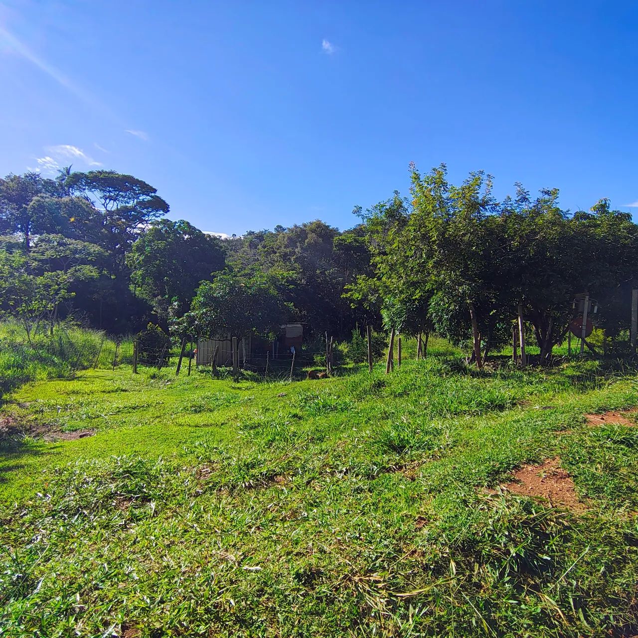 Sítio em Taquaraçu de Minas  - Foto 3