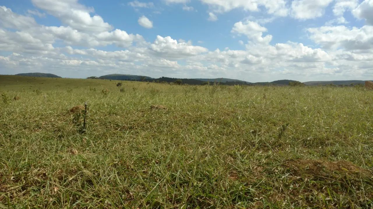 Fazendinha Cordisburgo 20.000m² - Foto 3