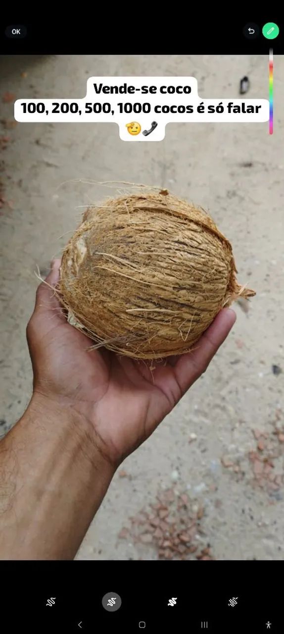 Vende-se coco verde e coco seco  - Foto 2