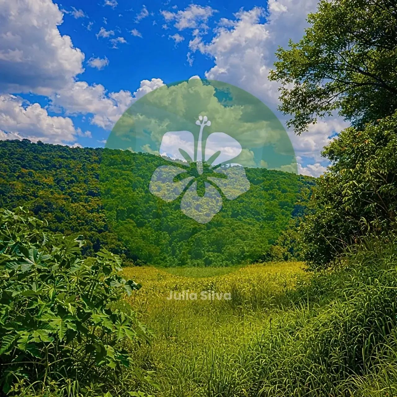 Terrenos para venda tem 1000 metros quadrados em Colégio - Ibiúna - SP