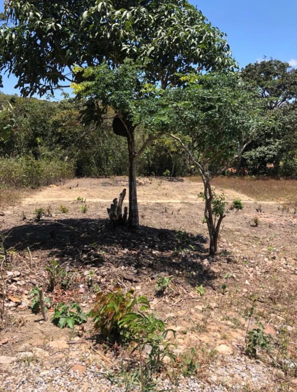 Lote 10x23 em Mulungú CE