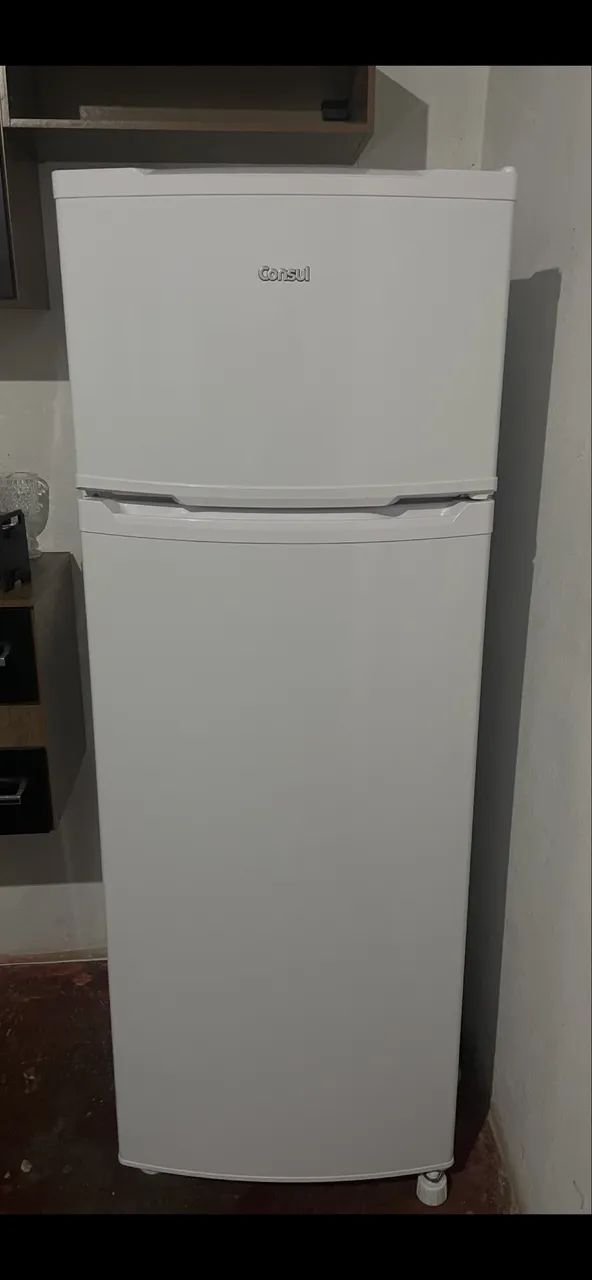 Geladeira Cycle Defrost 334L