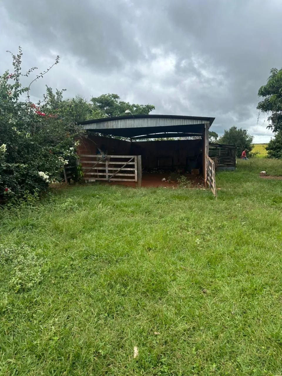 Fazenda dupla aptidão  em frutal Minas Gerais  - Foto 4