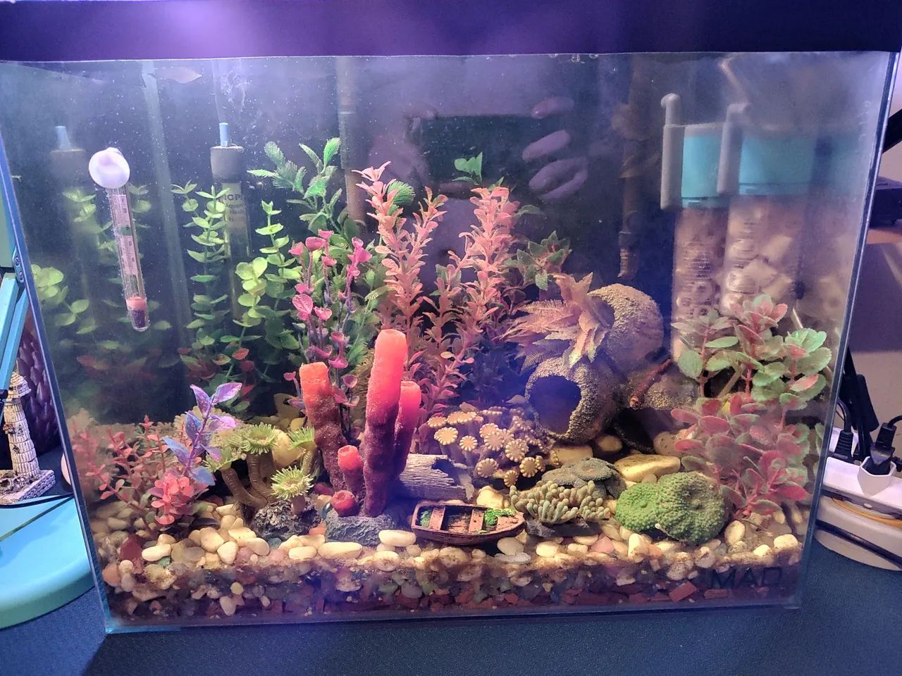 Vendo Aquário com Filtros, Bomba e Termostato - Foto 6