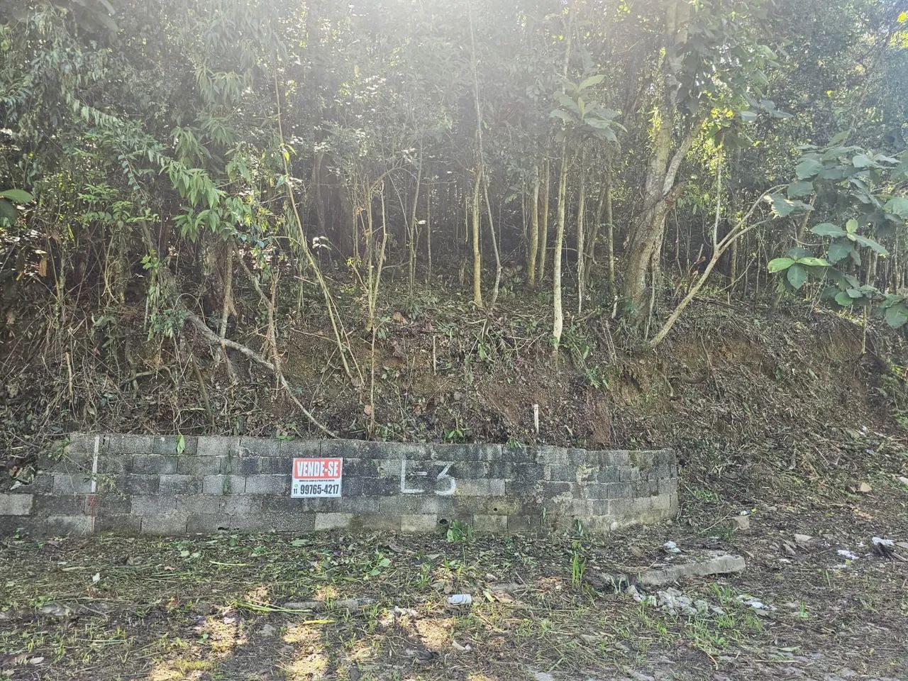 Terreno  - Foto 5