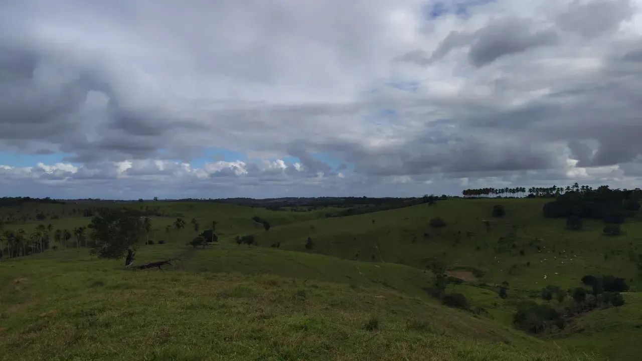 fazenda Santa Luzia Br 101 - Foto 3